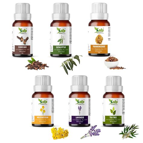 Kalp® Pack of 6 essential oils -15 ML EACH(90ml total) /Clove Bud Oil ...
