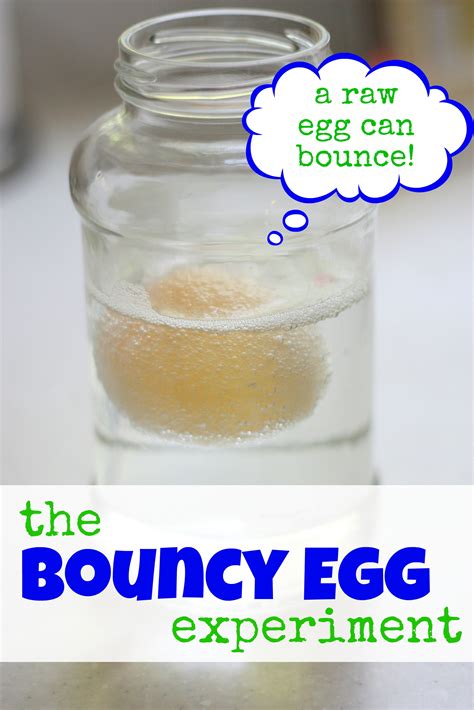 Bouncy Egg Experiment - I Can Teach My Child!