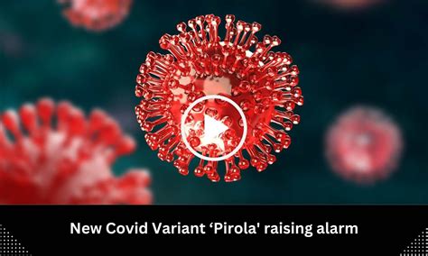 New Covid Variant 'Pirola' raising alarm