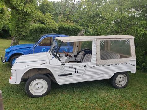 LES BELLES ECHAPPEES (Clairmarais) - What to Know Before You Go