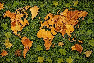 世界地图简易 的图像结果