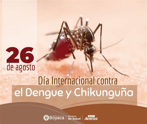 Vector illustration infographics dengue fever symptoms, transmission ...