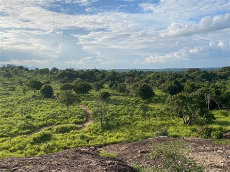 HURULU ECO PARK - WILD ELEPHANT SAFARI (2026) All You Need to Know ...