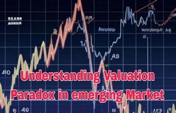 What is valuation parradox in stock market? Indian stock market.