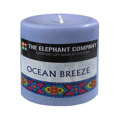 Ocean Breeze 3 in Scented Pillar Candle : Amazon.in: Home & Kitchen