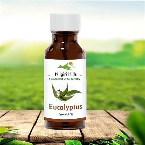 Eucalyptus Oil Nilgiri 70 ml | 100% Natural and Pure Nilgiri Eucalyptus ...