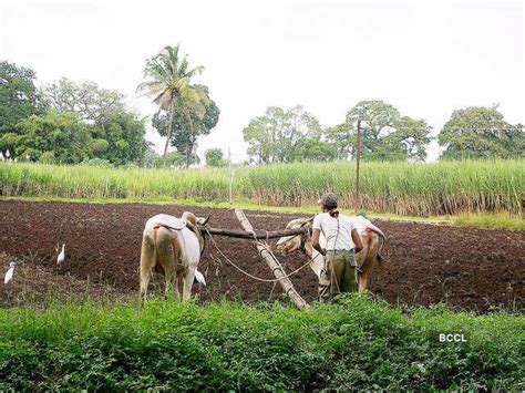 Farmers (Empowerment & Protection) Agreement of Price Assurance & Farm ...