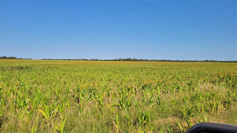 160 acres in Sharon, KS, 67138 | Land and Farm