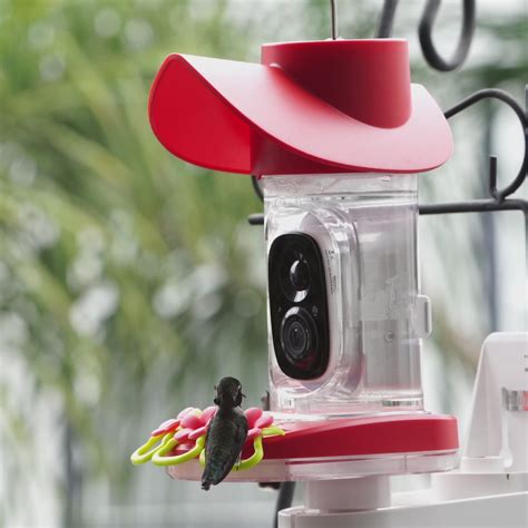 BirdSnap Smart Hummingbird Feeder with Camera