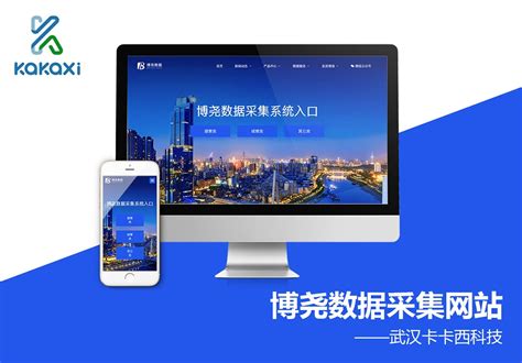 武汉博尧数据公司网站制作建设案例_卡卡西科技