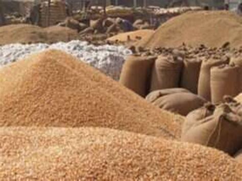 Gehun Kharidi: लॉकडाउन के बावजूद सरकार ने खरीदा रिकॉर्ड गेहूं, ये रहे ...