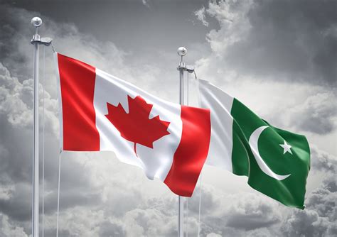 Pakistani doctor consulting online from Canada