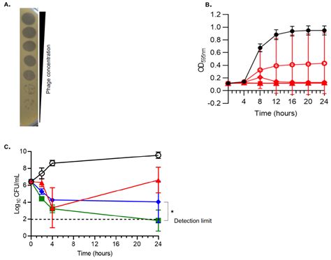 Subtherapeutic Doses of Vancomycin Synergize with Bacteriophages for ...