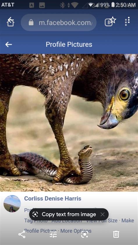 Indiana Tacky on LinkedIn: When your 770 credit score was replaced with ...