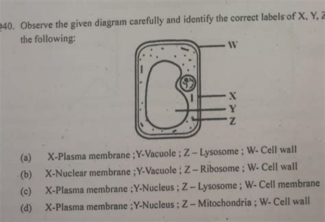 Observe the given diagram carefully and identify the correct labels of ...