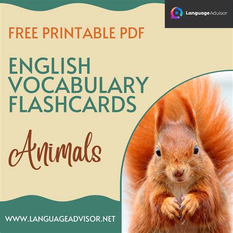 English Vocabulary Flashcards: Animals - Language Advisor