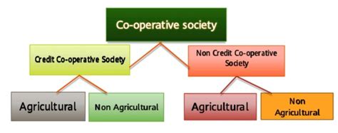 Co-operative Society Definition 的图像结果