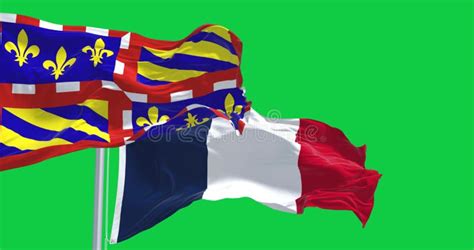 View of the Burgundy Flag Waving Isolated on Green Background Stock ...