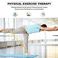 FEGSY Resistance Loop Exercise Bands for Squats, Hips, Legs, Butt ...