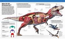 dinosaurier arten ausmalbilder wissen dinosaurier die urzeitriesen in spektakul 228 ren dinosaurier arten ausmalbilder wissen dinosaurier die urzeitriesen in spektakul 228 ren