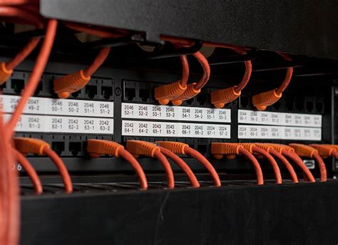 Network Graphics 的图像结果