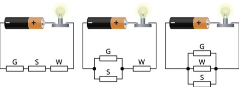 Picture based questions IV — task. Science State Board, Class 7.