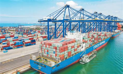 海南：2021年货物、服务进出口增速远超全国_自贸港_陈皮网_产业创新创业服务平台