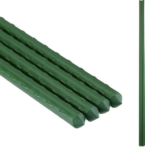 Stakes for Raspberry Plants 的图像结果