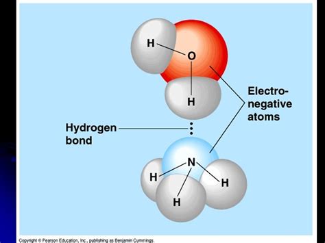Water Diffusion 的图像结果