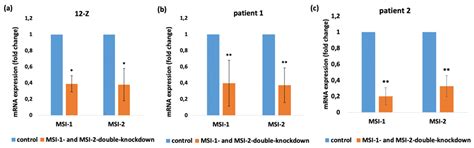 Impact of Musashi-1 and Musashi-2 Double Knockdown on Notch Signaling ...