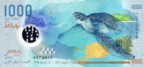 马尔代夫旅游货币兑换攻略 - 知乎