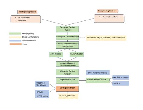 Image result for Cardiogenic Shock Algorithm