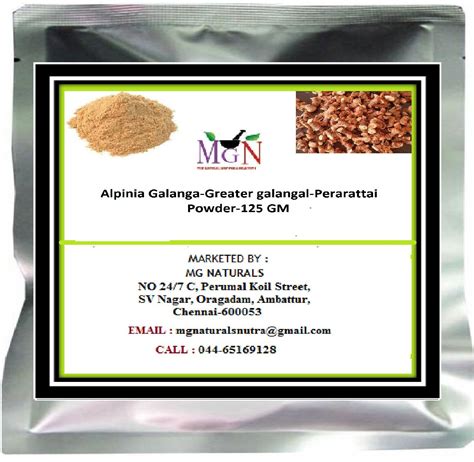 Alpinia Galanga-Greater galangal-Perarattai-Powder-125 GM : Amazon.in ...