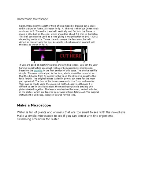 Image result for Homemade Microscope Projects