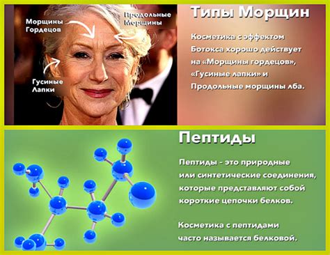 Что такое морщина гордецов — Глава вторая МОРЩИНА ГОРДЕЦОВ ...