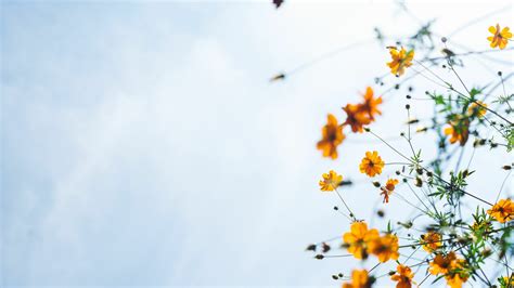 La libertad según John Stuart Mill | Meer