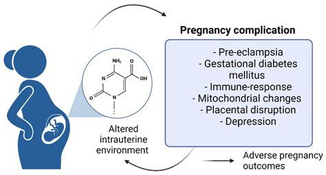 Epigenetics and Pregnancy: Conditional Snapshot or Rolling Event