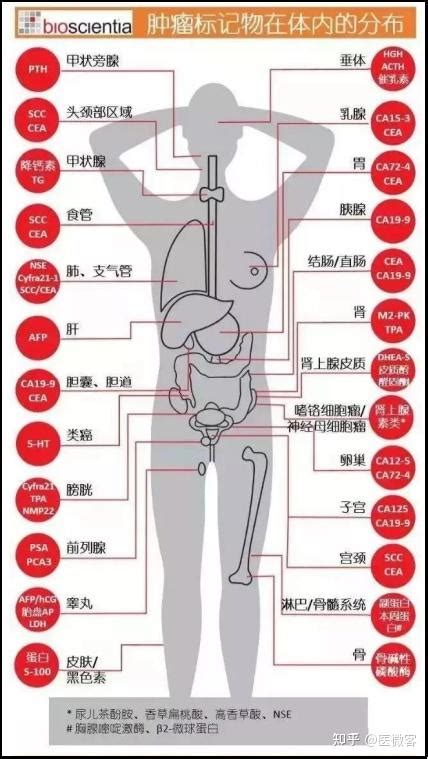 肺癌放疗手册｜中国健康促进会发布_腾讯新闻