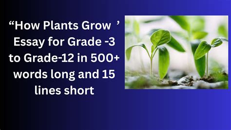 How Plants Grow – Essay for Grade 4 Students in Simple English | How Plants Grow – Essay for ...