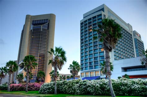 Sedalia Trail, Corpus Christi, TX, USA Sunrise Sunset Times