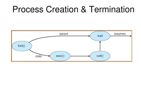 Orphan Process Example 的图像结果