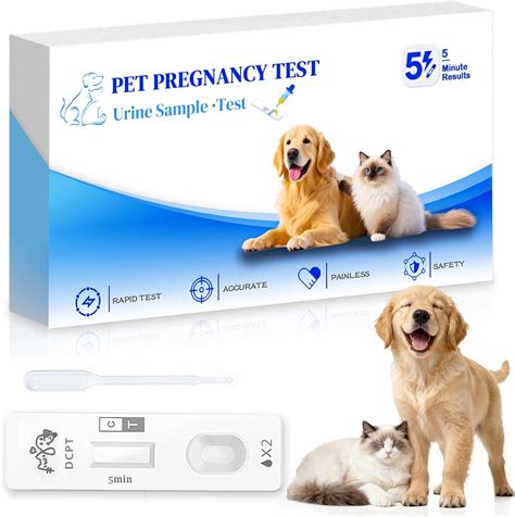Amazon.com: at-Home Dog & Cat Pregnancy Test Kit - 99% Accurate Urine ...