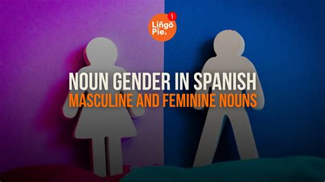 Noun Gender In Spanish: Masculine And Feminine Nouns [Guide]