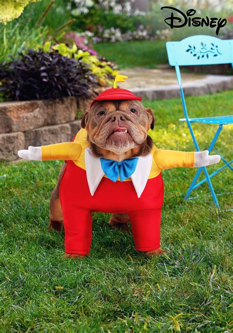 Disney Alice in Wonderland Tweedle Dee Costume for Pets | Disney Pet ...