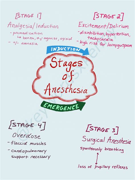 Stages of Anesthesia — Keywords x Kenny