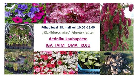 Aedniku kaubapäev: IGA TAIM OMA KOJU , Loo talu, Anija vald, Harjumaa ...