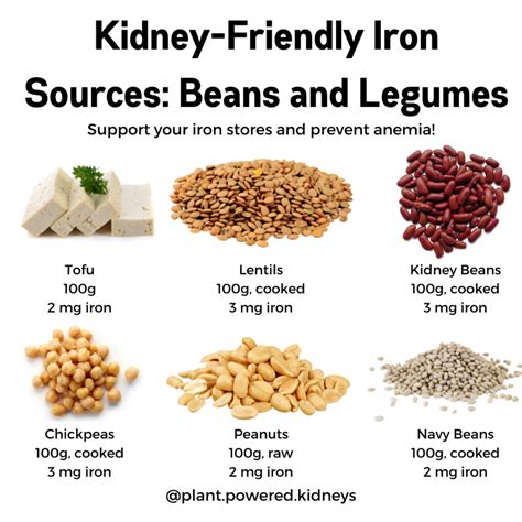 Kidney Beans Plant Benefits at Cristy Fields blog