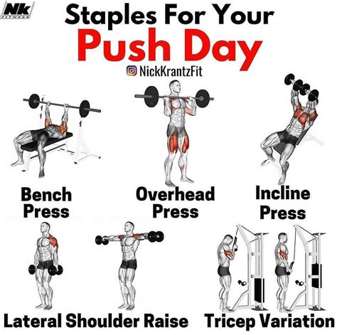 Push Day Workout Beginner at Jackie Proctor blog