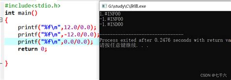 Infdev Floating Point 的图像结果