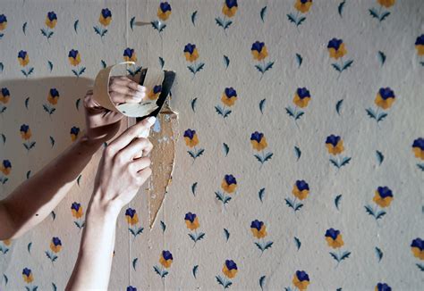 How Do U Get Wallpaper Glue Off Walls at Lawrence Burgess blog